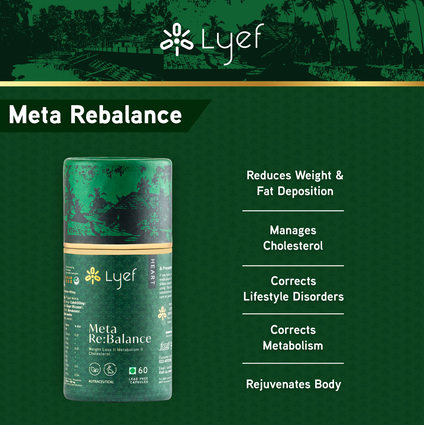 Lyef - Meta ReBalance