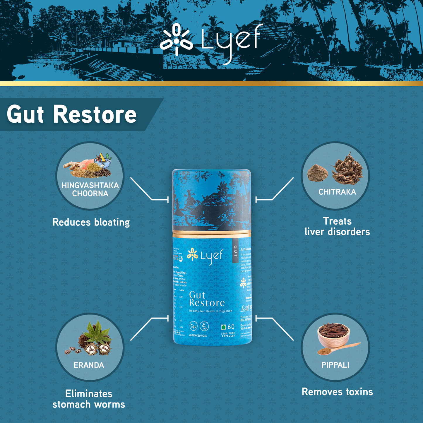 Lyef - Gut Restore