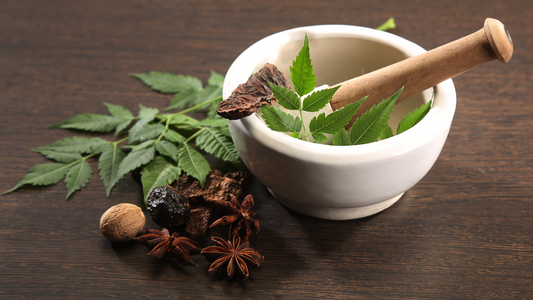 Ayurvedic diet in Holistic healing