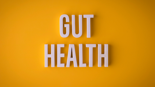 Gut diversity: how can you develop it?