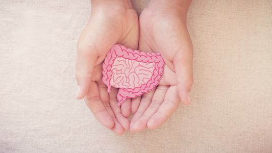 What is Gut Health?
