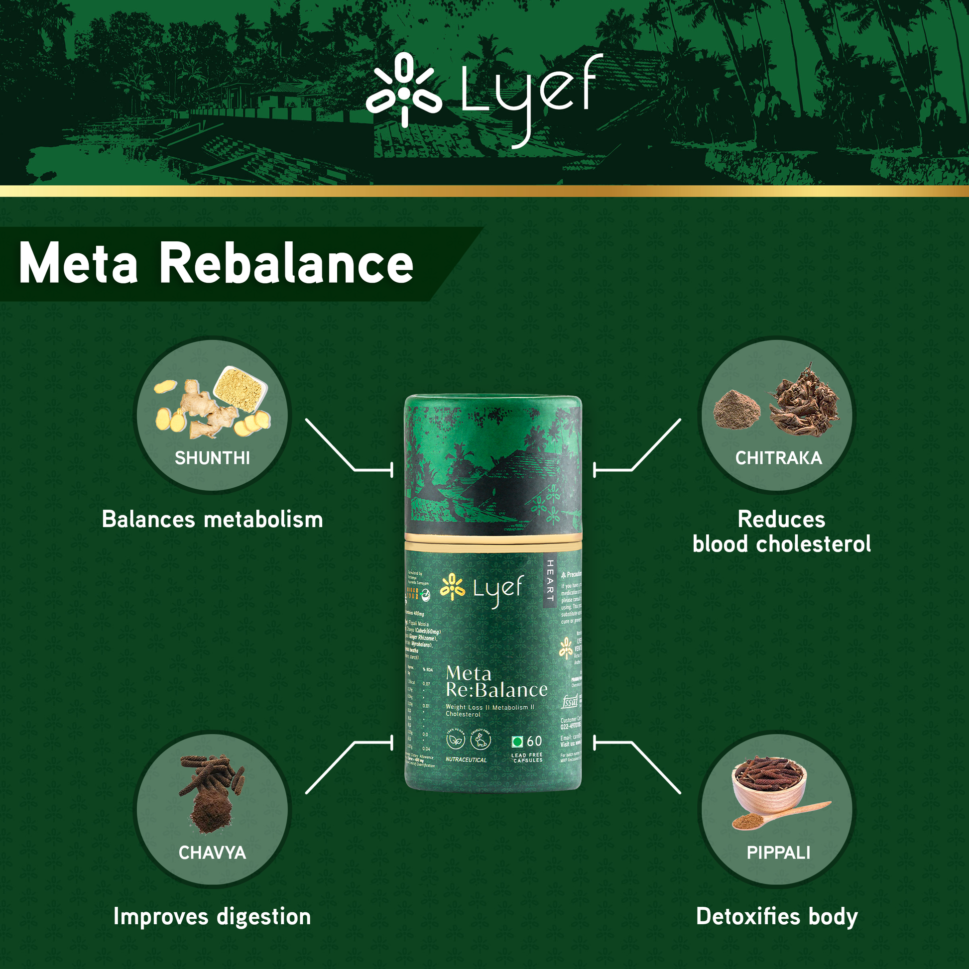 Lyef - Meta ReBalance