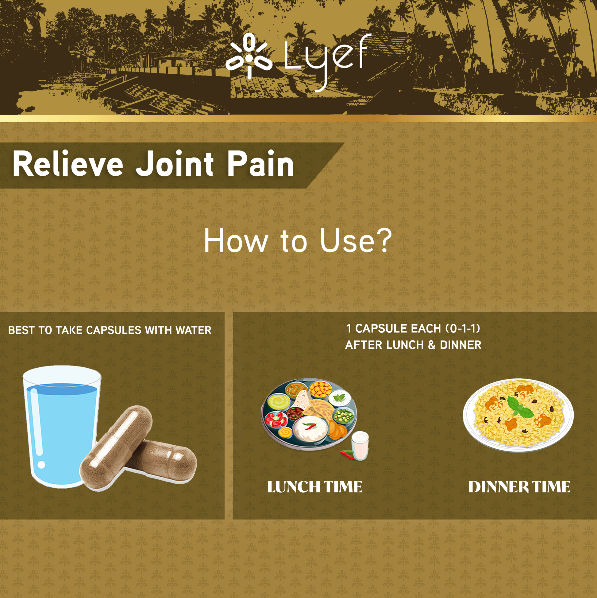 Lyef - How To Use?