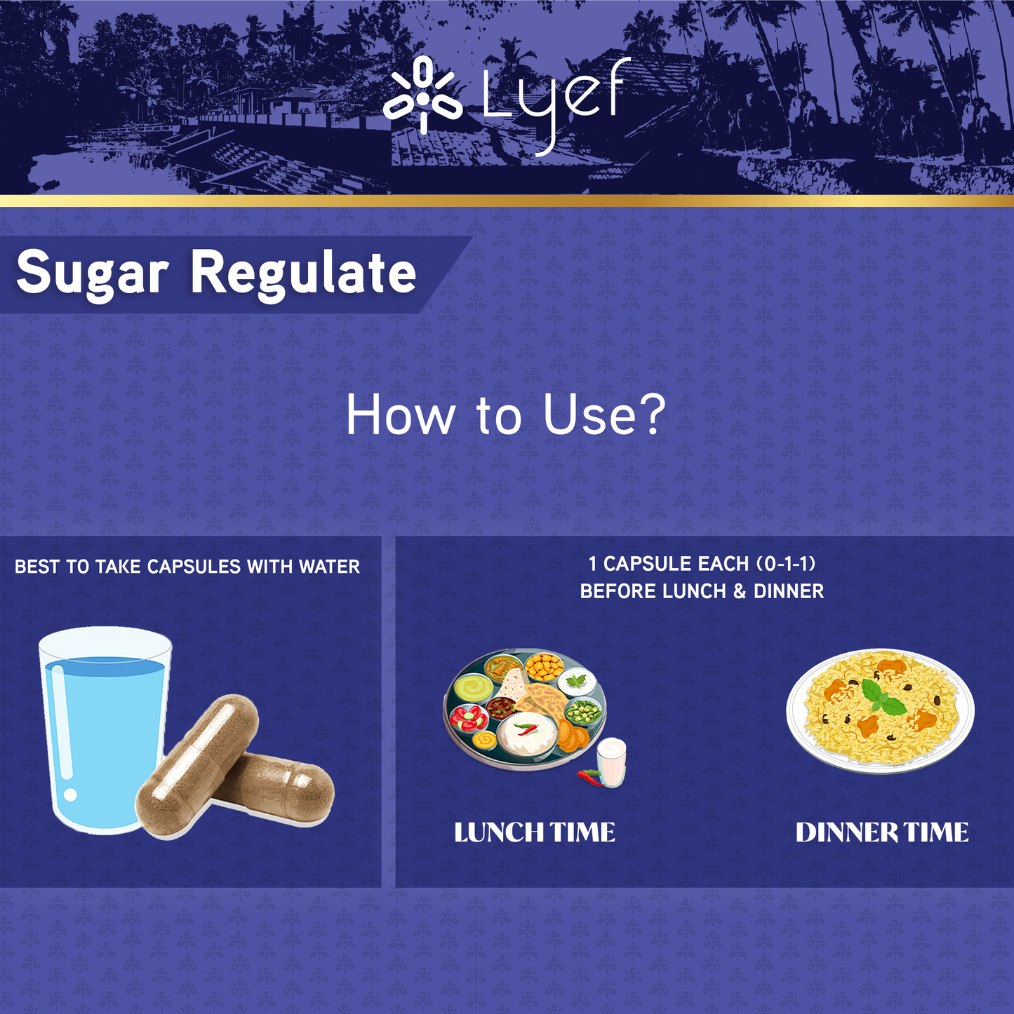 Sugar Regulate - How To Use?