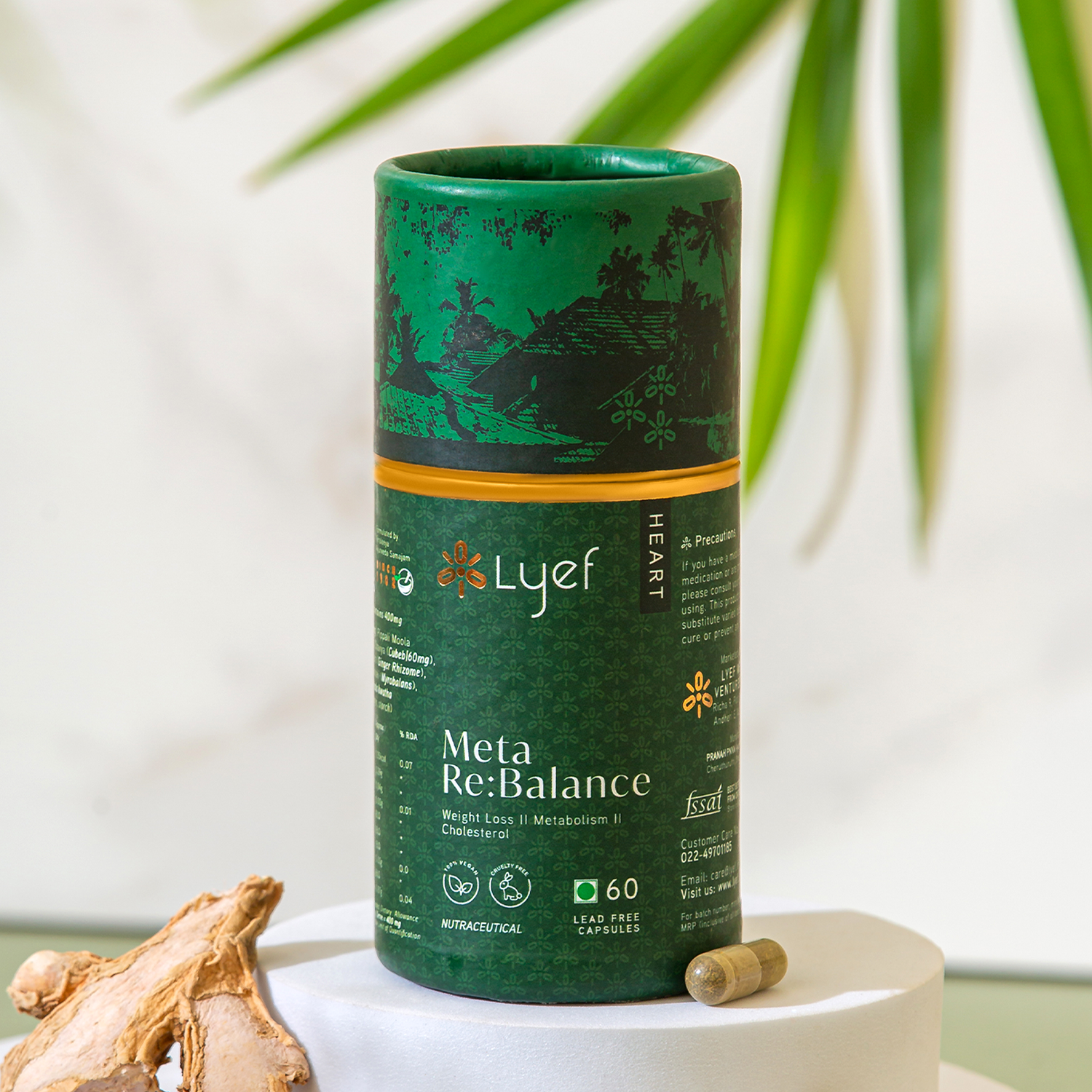 Lyef - Meta ReBalance
